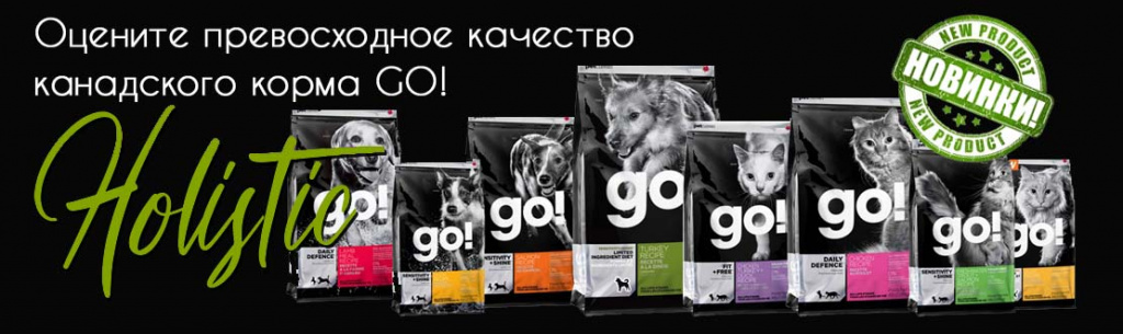 GO! new.jpg